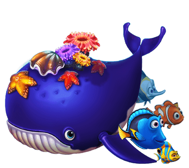 db电竞官方网站V9.20.11安卓版 1